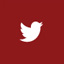 wordpress logo